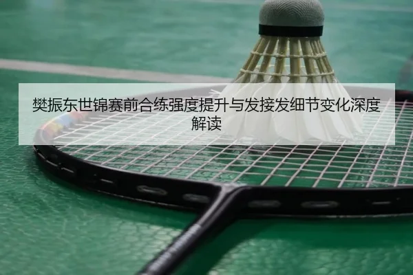 樊振东世锦赛前合练强度提升与发接发细节变化深度解读